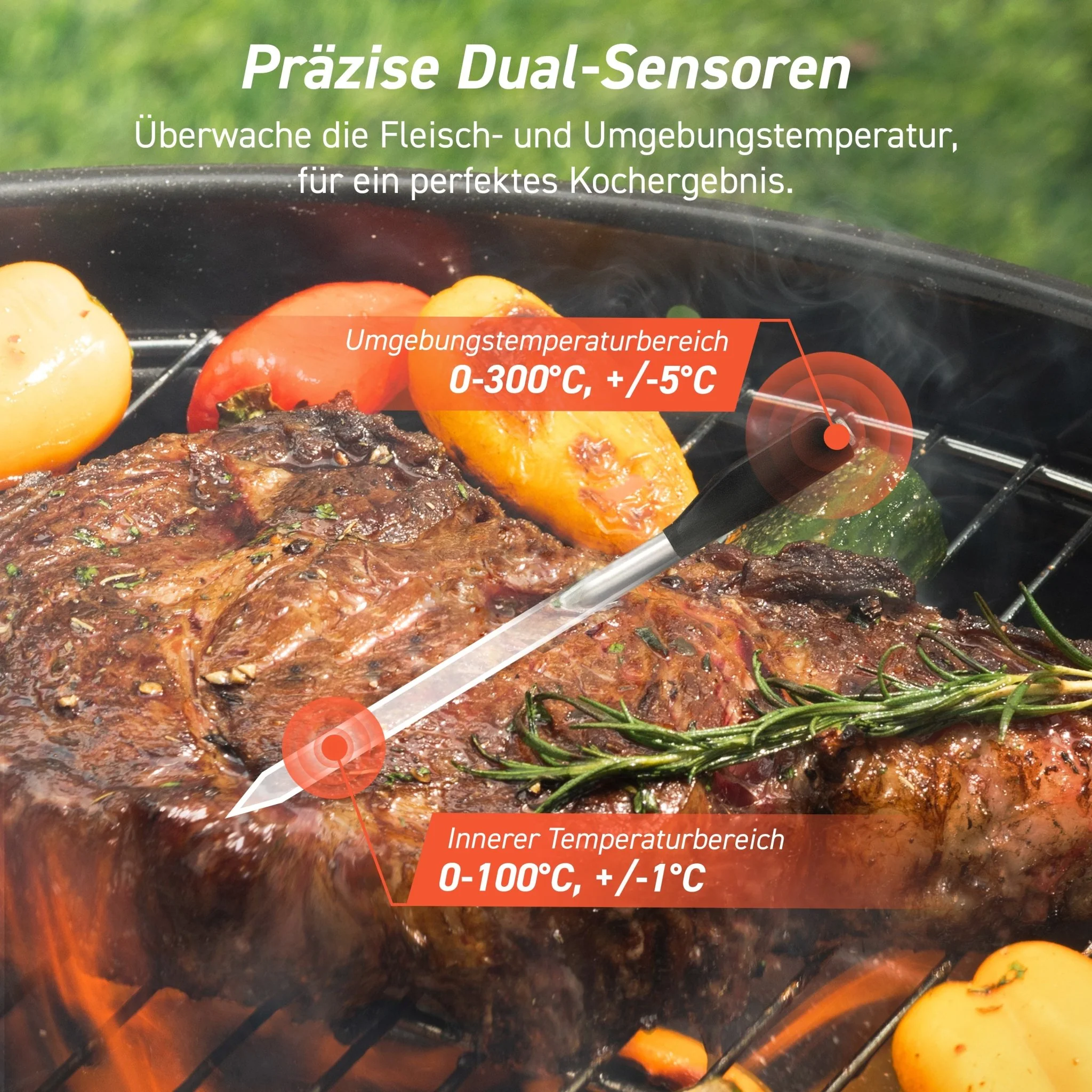 COSORI Smartes Fleischthermometer - Image 4